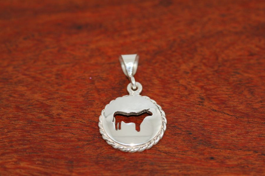 Small Steer Disc with Rope Trim -Pendant